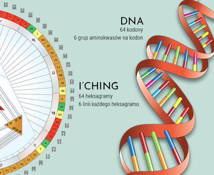Porównanie kodu genetycznego DNA i nauki Human Design, opierającej się na heksagramach I'Ching. Epigenetyka