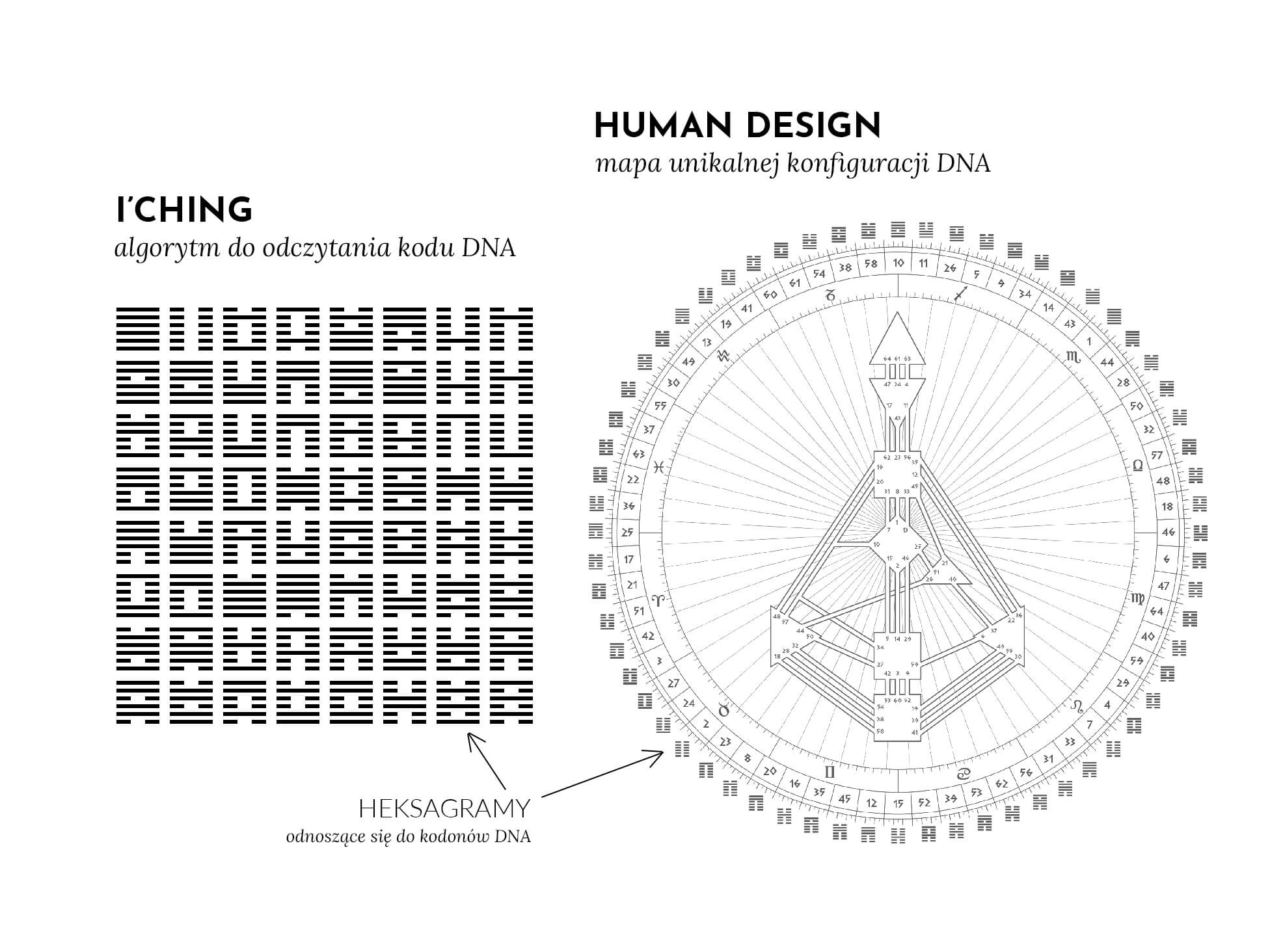 Algorytm I'Ching do rozkodowania szyfru DNA na unikalnej mapie Human Design
