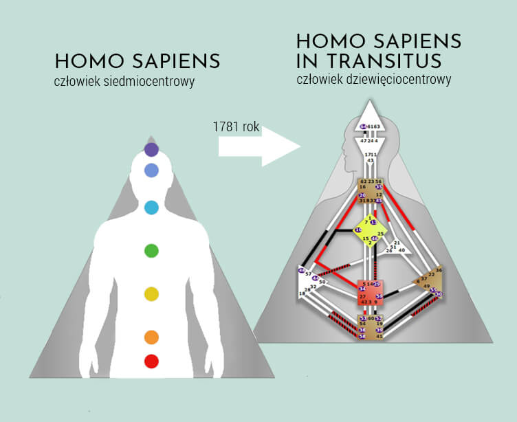 Human Design, ewolucja z człowieka z 7 czakrami, na dziewięciocentrowego Homo Sapiens in Transitus